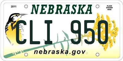 NE license plate CLI950