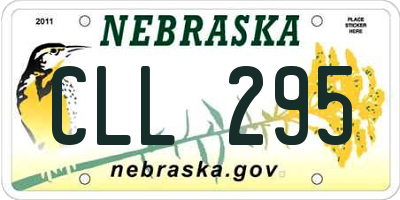 NE license plate CLL295