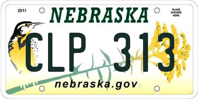 NE license plate CLP313