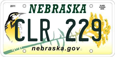 NE license plate CLR229