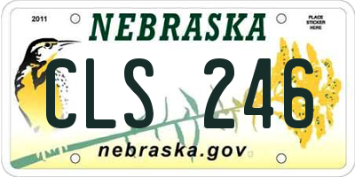 NE license plate CLS246