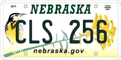 NE license plate CLS256
