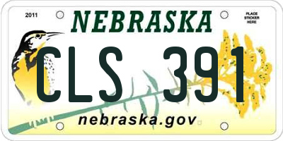 NE license plate CLS391