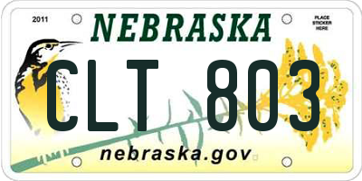 NE license plate CLT803
