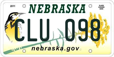 NE license plate CLU098