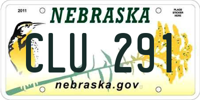 NE license plate CLU291