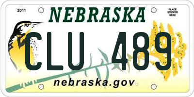 NE license plate CLU489