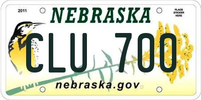 NE license plate CLU700