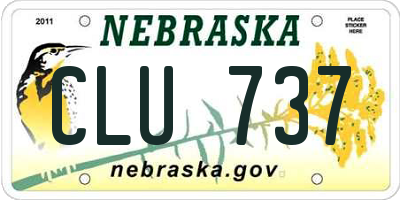 NE license plate CLU737