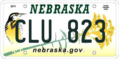 NE license plate CLU823