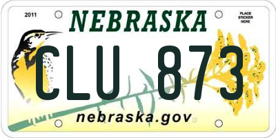 NE license plate CLU873
