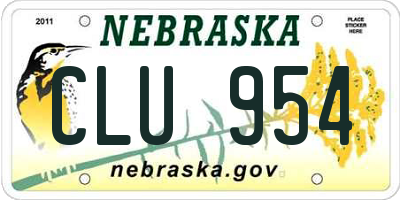 NE license plate CLU954