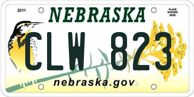 NE license plate CLW823