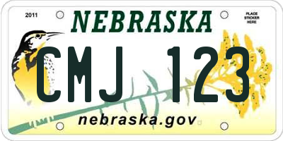 NE license plate CMJ123