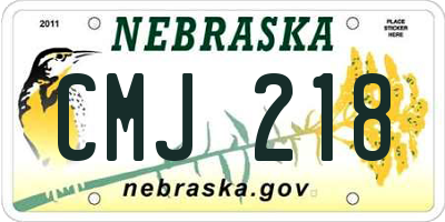 NE license plate CMJ218