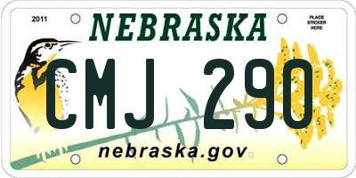 NE license plate CMJ290