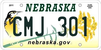 NE license plate CMJ301