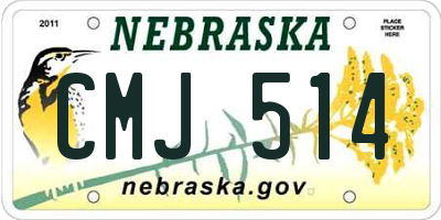 NE license plate CMJ514