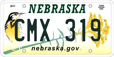 NE license plate CMX319