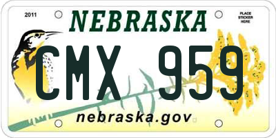 NE license plate CMX959