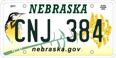 NE license plate CNJ384