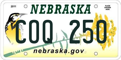NE license plate COQ250