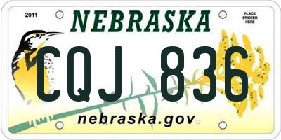 NE license plate CQJ836