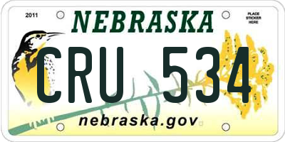 NE license plate CRU534