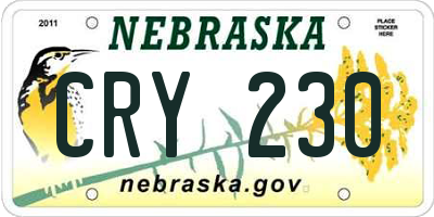 NE license plate CRY230