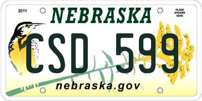 NE license plate CSD599