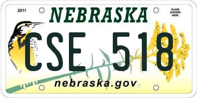 NE license plate CSE518