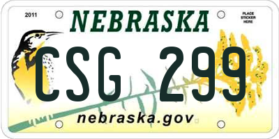 NE license plate CSG299