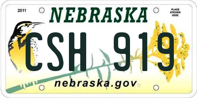 NE license plate CSH919