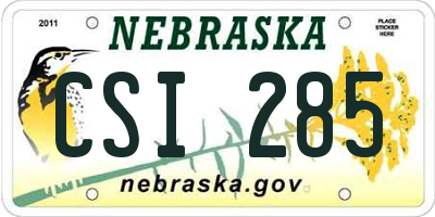NE license plate CSI285