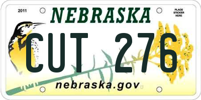 NE license plate CUT276