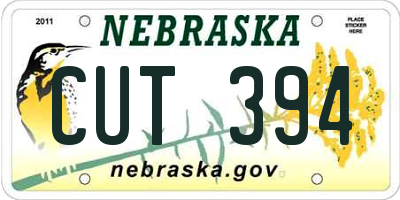 NE license plate CUT394