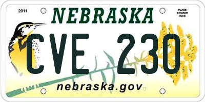 NE license plate CVE230