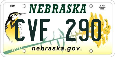 NE license plate CVF290