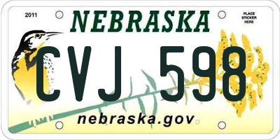 NE license plate CVJ598