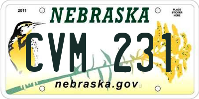 NE license plate CVM231