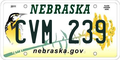 NE license plate CVM239