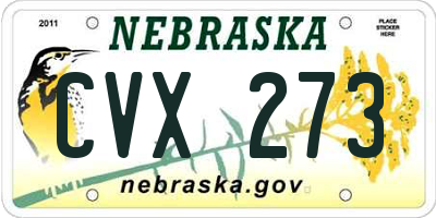 NE license plate CVX273