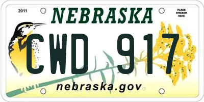 NE license plate CWD917