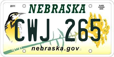 NE license plate CWJ265