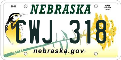 NE license plate CWJ318