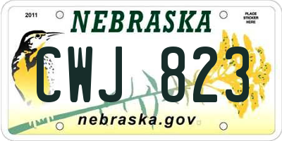 NE license plate CWJ823