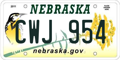 NE license plate CWJ954