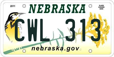 NE license plate CWL313