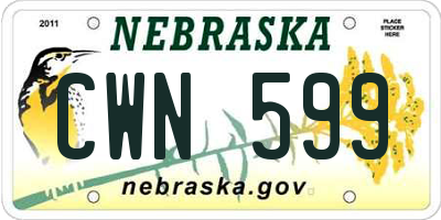 NE license plate CWN599