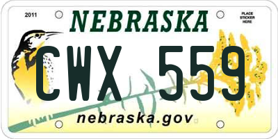 NE license plate CWX559